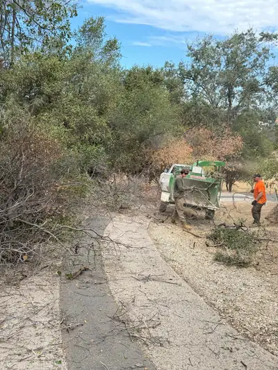 Cut oak brush piled along a narrow driveway, with two crew members at a green chipper further down