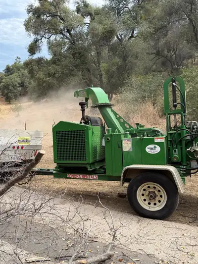 A green brush chipper parked behind a white flatbed work truck, cut branches in the foreground and oaks behind