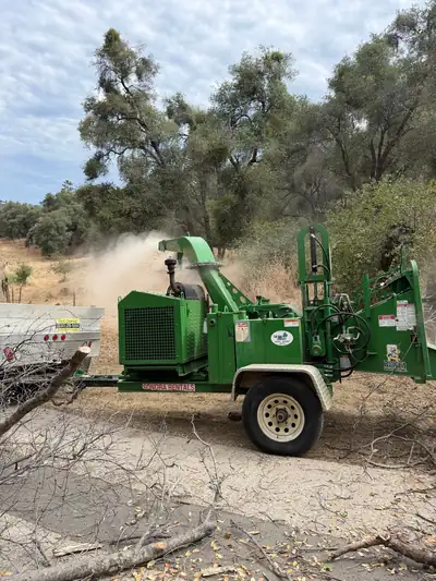 A green tow-behind brush chipper throwing chips and dust onto a dry slope under oaks, a white work truck parked behind it