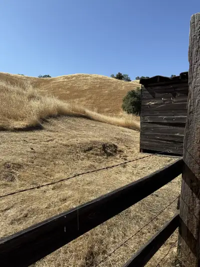 A cleared strip along a wooden fence with dry golden hills behind