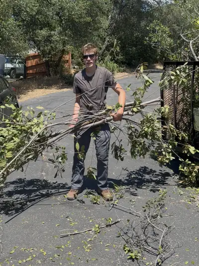 Levi Cones in sunglasses carrying an armful of cut leafy limbs down a paved driveway