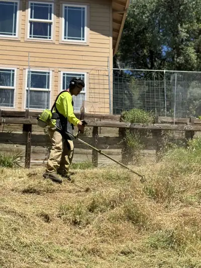 A crew member in a bright yellow shirt cutting tall dry grass with a string trimmer on the slope below a two-story house