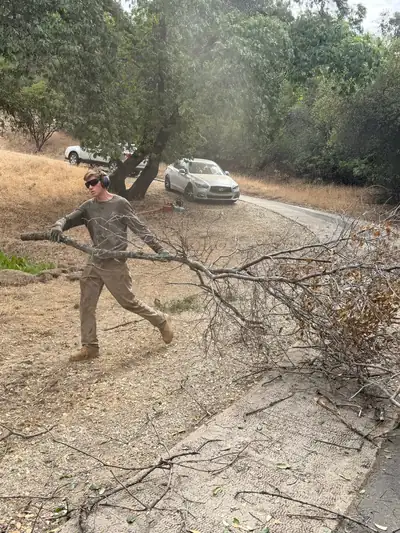 A crew member in ear protection and sunglasses dragging a long cut oak limb across cleared ground beside a driveway