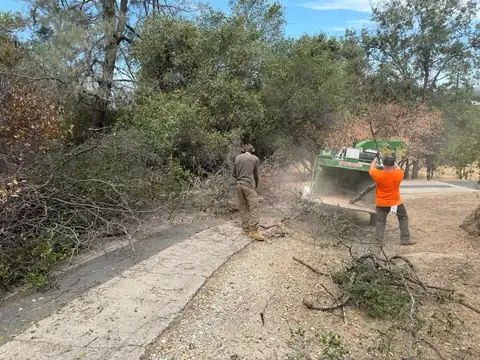 A crew member in an orange shirt feeding cut brush into a green chipper by a driveway, another at the brush pile