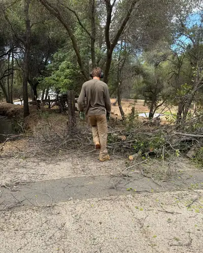 A crew member in ear protection, seen from behind, walking from a driveway into cut brush beside a creek under oaks