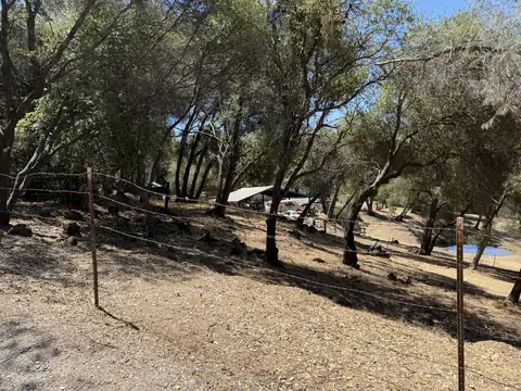 The same slope along the fence with the dead brush removed and the oaks limbed up over open ground