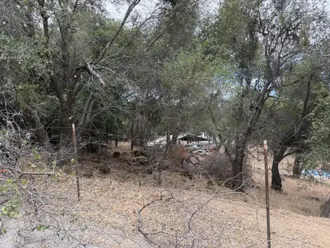 Dead branches and dense brush under oak trees along a wire fence on a slope
