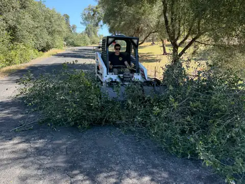 Levi Cones driving a Bobcat skid steer toward the camera, pushing a long pile of cut brush down a paved lane under oaks
