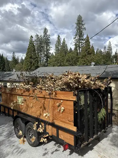 A tall wood-sided trailer heaped with cut oak branches and leaves